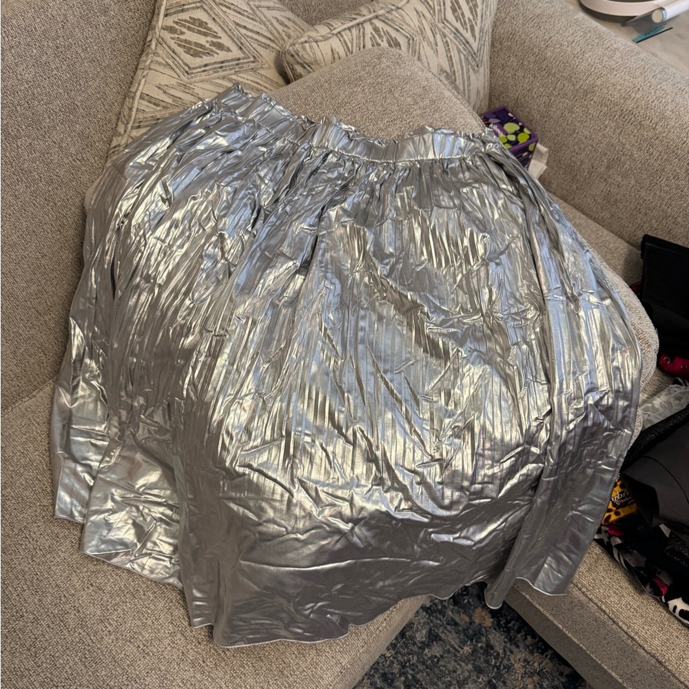Amazon Shimmering Silver A-Line Skirt